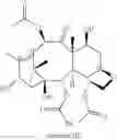 Fig. 53 - Biosynthesis of paclitaxel intermediate