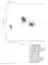 Fig. 07 - Method of Using Laser-Induced Breakdown Spectroscopy for the Identification and Classification of Bacteria