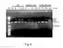 Fig. 07 - EUKARYOTIC TRANSPOSASE MUTANTS AND TRANSPOSON END COMPOSITIONS FOR MODIFYING NUCLEIC ACIDS AND METHODS FOR PRODUCTION AND USE IN THE GENERATION OF SEQUENCING LIBRARIES