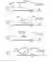 Fig. 09 - METHODS AND COMPOSITIONS FOR WHOLE GENOME AMPLIFICATION AND GENOTYPING