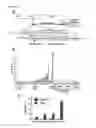 Fig. 08 - ncRNA AND USES THEREOF