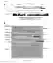 Fig. 27 - ncRNA AND USES THEREOF
