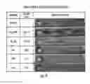 Fig. 03 - Corrosion inhibiting compositions