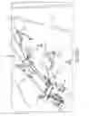 Fig. 07 - SYSTEM AND METHOD FOR ROADWAY PAVEMENT RESTORATION