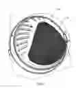 Fig. 04 - Anti-splash sanitary urinal screen