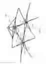 Fig. 33 - Canopies and canopy support structures