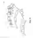 Fig. 08 - Vane ring for a turbine engine having retention devices
