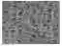 Fig. 01 - THERMAL INSULATION COATING COMPOSITION AND THERMAL INSULATION COATING LAYER
