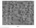 Fig. 02 - THERMAL INSULATION COATING COMPOSITION AND THERMAL INSULATION COATING LAYER