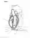 Fig. 02 - Centrifugal Pump