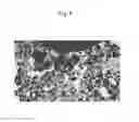 Fig. 06 - Sintered bearing