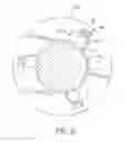 Fig. 07 - UNIDIRECTIONAL CLUTCH DEVICE