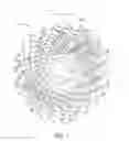 Fig. 02 - Bicycle rear sprocket