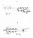 Fig. 71 - Shafted projectiles having a head