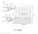 Fig. 28 - Systems and methods for deep spectroscopic imaging of biological samples with use of an interferometer and spectrometer