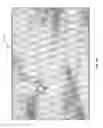 Fig. 33 - Systems and methods for deep spectroscopic imaging of biological samples with use of an interferometer and spectrometer