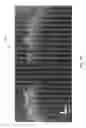 Fig. 35 - Systems and methods for deep spectroscopic imaging of biological samples with use of an interferometer and spectrometer