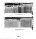 Fig. 50 - Systems and methods for deep spectroscopic imaging of biological samples with use of an interferometer and spectrometer