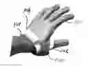 Fig. 01 - Manipulation device with force read-out