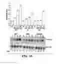 Fig. 15 - ASSAYS, SYSTEMS, AND METHODS FOR OBTAINING PERSONALIZED ANABOLIC PROFILES