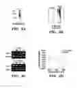 Fig. 03 - BRCA1 mutations as predictive markers for topoisomerase inhibitions