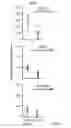 Fig. 08 - METHODS FOR TREATING, PREVENTING AND PREDICTING RISK OF DEVELOPING BREAST CANCER