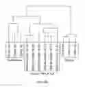 Fig. 11 - METHODS FOR TREATING, PREVENTING AND PREDICTING RISK OF DEVELOPING BREAST CANCER
