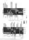 Fig. 14 - METHODS FOR TREATING, PREVENTING AND PREDICTING RISK OF DEVELOPING BREAST CANCER