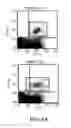 Fig. 05 - Microfluidic devices for the capture of biological sample components