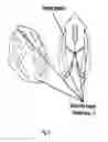 Fig. 09 - Portable wireless personal head impact reporting system