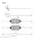 Fig. 04 - Magnetic resonance method and apparatus in which data are acquired along k-space spokes originating from k-space center