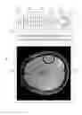 Fig. 07 - Method and apparatus for adjusting the parameters of a magnetic resonance image