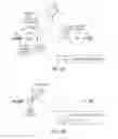 Fig. 03 - Visual disruption system, method, and computer program product