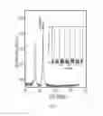 Fig. 03 - Titanium nitride based metamaterial