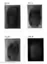 Fig. 02 - Optical biometric security element