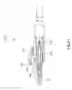 Fig. 22 - Duplex clip assembly for fiber optic connectors