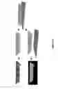 Fig. 35 - Heat actuated and projected lithography systems and methods