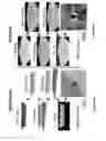 Fig. 43 - Heat actuated and projected lithography systems and methods