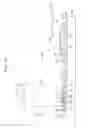 Fig. 15 - Exposure apparatus, exposure method, method for producing device, and optical part