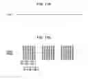 Fig. 12 - Display device