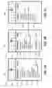 Fig. 06 - Snap navigation of a scrollable list