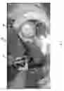 Fig. 05 - System and method for interactive mobile gaming