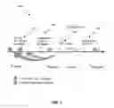 Fig. 02 - Point in time recovery support for pending schema definition changes