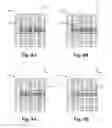 Fig. 06 - Cut mask design layers to provide compact cell height