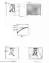 Fig. 06 - Image processing system with automatic segmentation and method of operation thereof