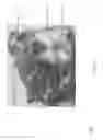 Fig. 03 - APPARATUS FOR CORRECTING COLOR-BLINDNESS