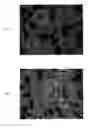 Fig. 01 - Optical device and display device provided with same