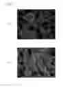 Fig. 07 - Optical device and display device provided with same