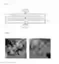 Fig. 02 - Method of manufacturing graphene-coated composite powder