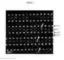 Fig. 06 - Superconducting oxide thin film